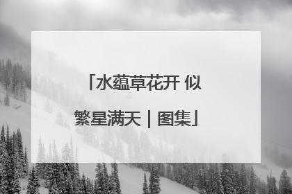 水蕴草花开 似繁星满天｜图集