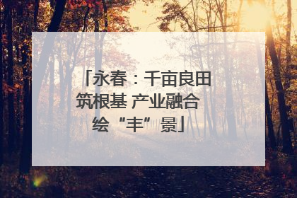 永春：千亩良田筑根基 产业融合绘“丰”景