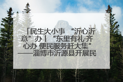 民生大小事 “沂心沂意”办丨“东里有礼·齐心办 便民服务赶大集”——淄博市沂源县开展民生政策宣传活动