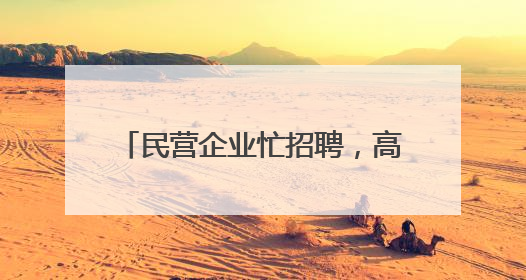 民营企业忙招聘，高技能人才很吃香——河北省个体私营企业网络招聘大会扫描
