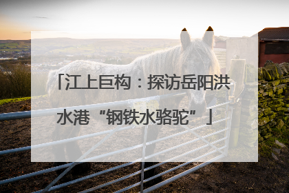 江上巨构：探访岳阳洪水港“钢铁水骆驼”