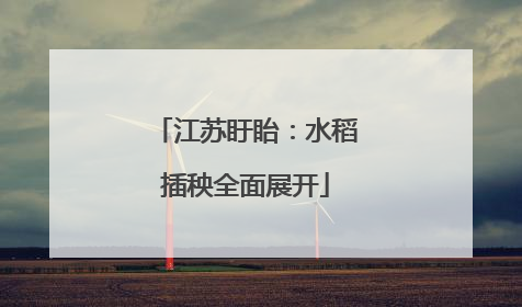江苏盱眙：水稻插秧全面展开
