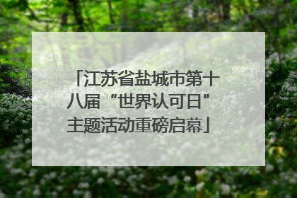 江苏省盐城市第十八届“世界认可日”主题活动重磅启幕