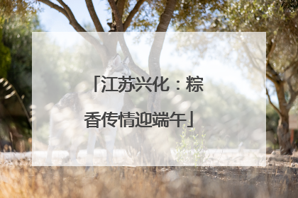 江苏兴化：粽香传情迎端午