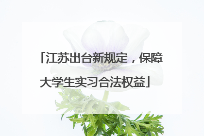 江苏出台新规定，保障大学生实习合法权益