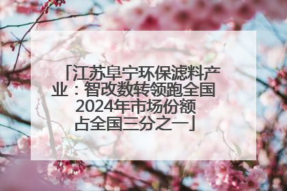 江苏阜宁环保滤料产业：智改数转领跑全国 2024年市场份额占全国三分之一