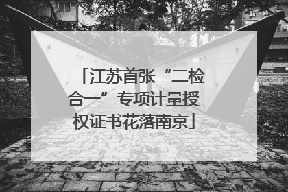 江苏首张“二检合一”专项计量授权证书花落南京
