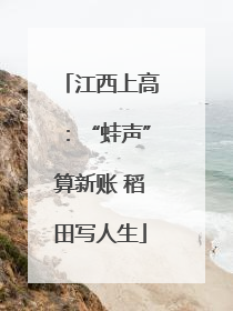 江西上高：“蛙声”算新账 稻田写人生