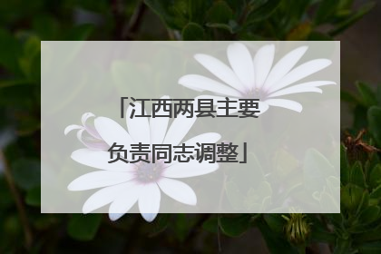江西两县主要负责同志调整