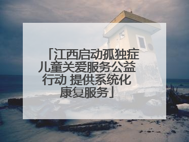 江西启动孤独症儿童关爱服务公益行动 提供系统化康复服务