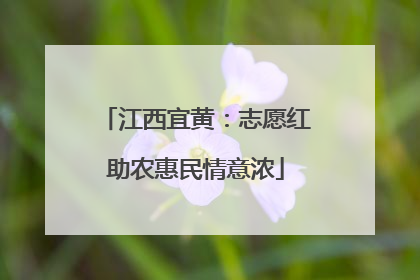 江西宜黄：志愿红助农惠民情意浓