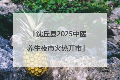 沈丘县2025中医养生夜市火热开市
