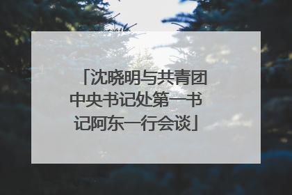 沈晓明与共青团中央书记处第一书记阿东一行会谈