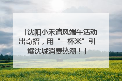 沈阳小禾清风端午活动出奇招，用“一杯米”引爆沈城消费热潮！