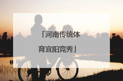 河南传统体育宜阳竞秀