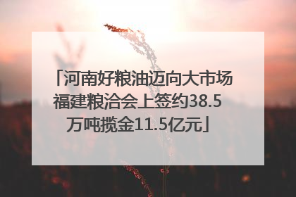 河南好粮油迈向大市场 福建粮洽会上签约38.5万吨揽金11.5亿元
