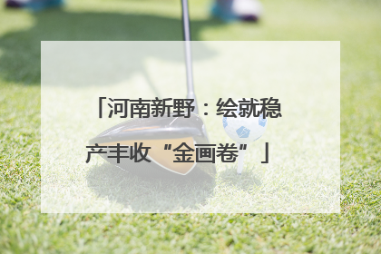 河南新野：绘就稳产丰收“金画卷”