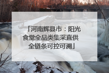 河南辉县市：阳光食堂全品类集采直供 全链条可控可溯