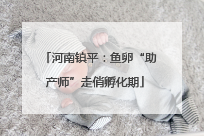 河南镇平：鱼卵“助产师”走俏孵化期