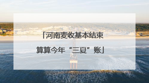 河南麦收基本结束 算算今年“三夏”账