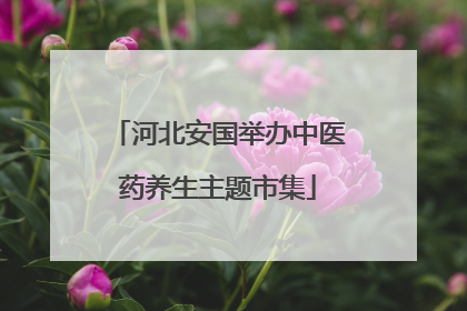 河北安国举办中医药养生主题市集