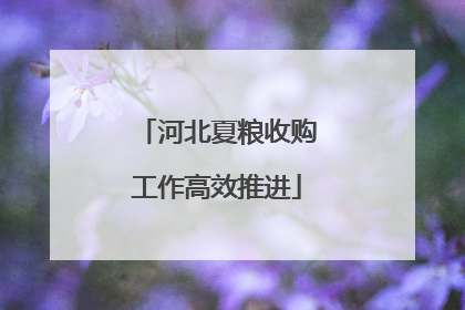 河北夏粮收购工作高效推进