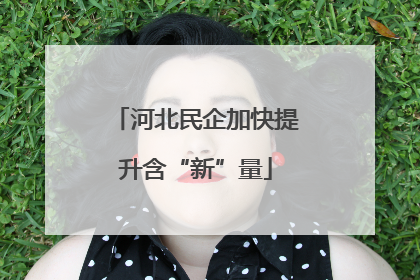 河北民企加快提升含“新”量