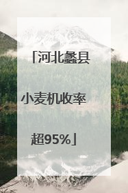 河北蠡县小麦机收率超95%