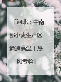 河北：中南部小麦生产区遭遇高温干热风考验