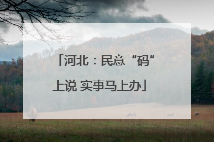 河北：民意“码”上说 实事马上办