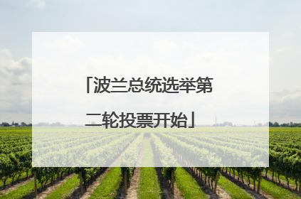 波兰总统选举第二轮投票开始