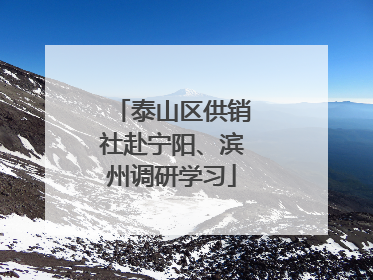 泰山区供销社赴宁阳、滨州调研学习