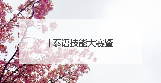 泰语技能大赛暨第十八届广西高校学生泰语演讲公开赛在南宁举办