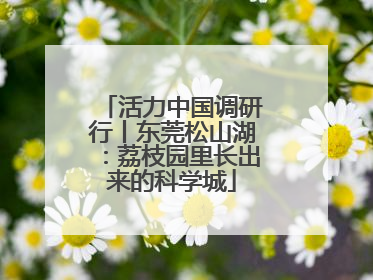 活力中国调研行丨东莞松山湖：荔枝园里长出来的科学城