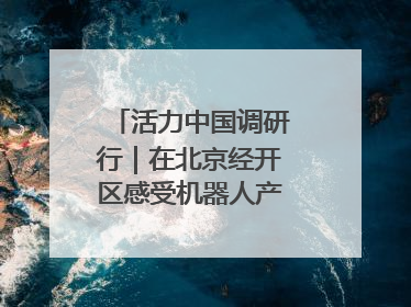 活力中国调研行｜在北京经开区感受机器人产业创新发展