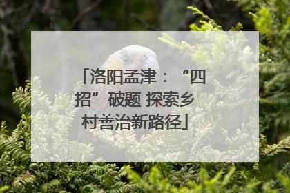 洛阳孟津：“四招”破题 探索乡村善治新路径