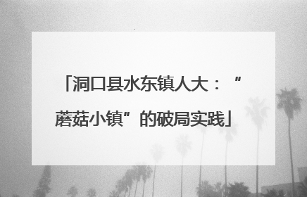洞口县水东镇人大：“蘑菇小镇”的破局实践