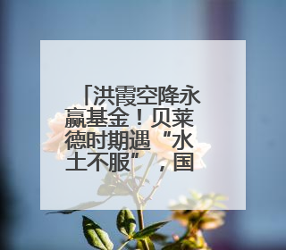 洪霞空降永赢基金！贝莱德时期遇“水土不服”，国际业务难言乐观