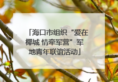 海口市组织“爱在椰城 情牵军营”军地青年联谊活动