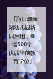 海口观澜湖幼儿园新园启用，新增500个优质学前教育学位