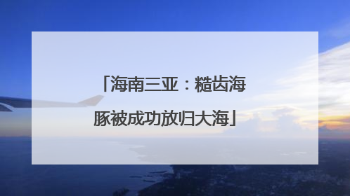 海南三亚：糙齿海豚被成功放归大海