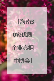 海南30家优质企业亮相中博会