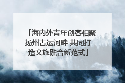海内外青年创客相聚扬州古运河畔 共同打造文旅融合新范式