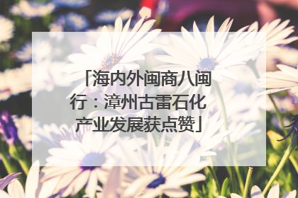 海内外闽商八闽行：漳州古雷石化产业发展获点赞