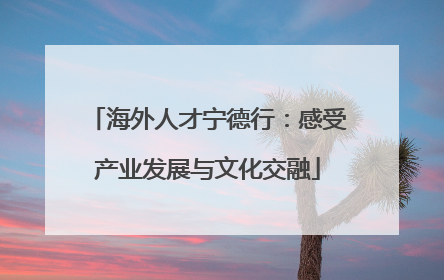 海外人才宁德行：感受产业发展与文化交融