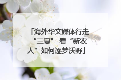 海外华文媒体行走“三夏” 看“新农人”如何逐梦沃野