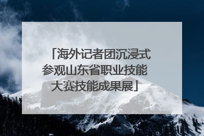 海外记者团沉浸式参观山东省职业技能大赛技能成果展