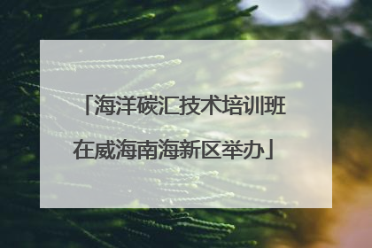 海洋碳汇技术培训班在威海南海新区举办