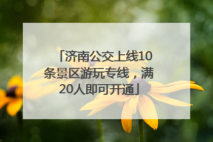 济南公交上线10条景区游玩专线，满20人即可开通