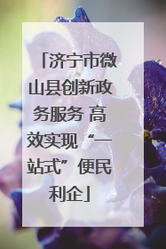 济宁市微山县创新政务服务 高效实现“一站式”便民利企